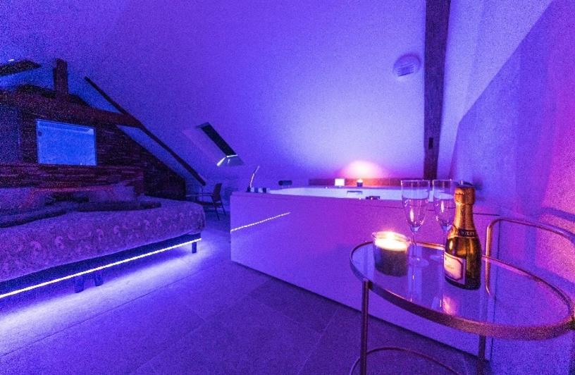 L'Evasion-Spa-Hammam-Sauna Illimite - 2 A 4 Pers แซงต์ซีร์ซูร์ลัวร์ ภายนอก รูปภาพ